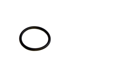 O-RING 48X5 NBR für Gegengewichte Seitenbürsten Wesumat