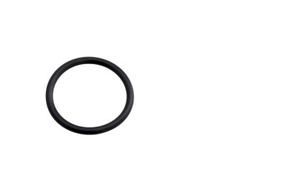 O-RING 54,2X5,7 EPDM UV-BESTAENDIG