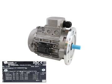 Radwaschmotor 0,37KW 71G B5 4P 230-400V 50/60HZ IP65 SV für Ceccato