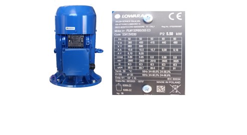 Motor für 5,5KW 2.900 UPM Lowara Kreiselpumpe Motor PLM132RB5/355 E3 Code 53A13VEOO z.b. für Artikelnummer 2032250